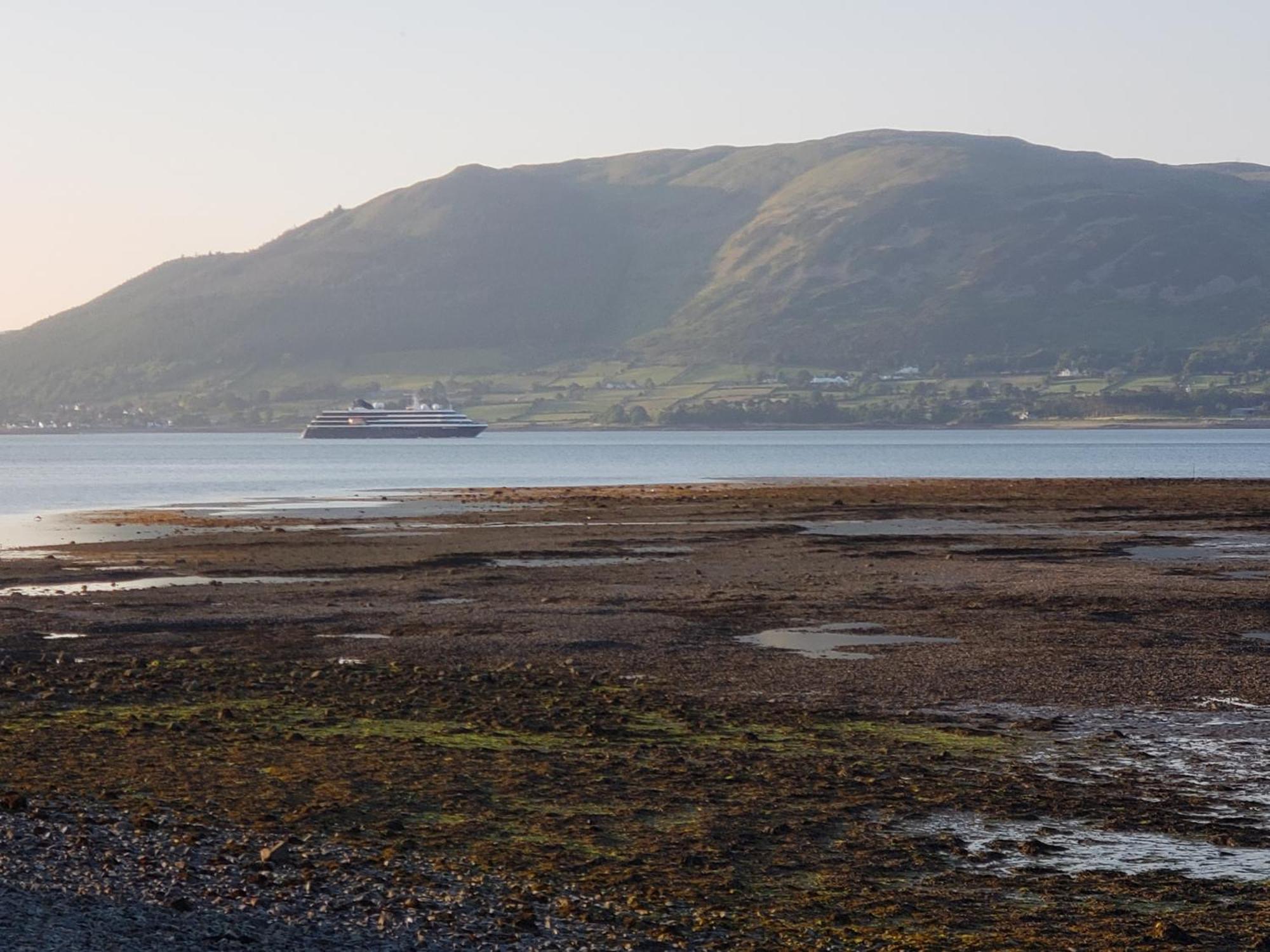 The Oystercatcher Lodge Карлингфорд Екстериор снимка